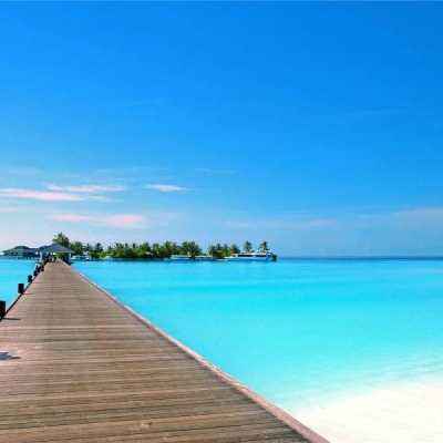 大只500注册下载